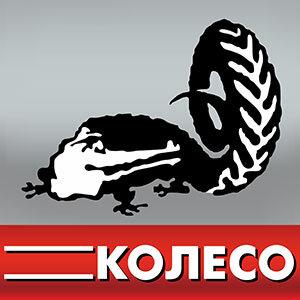 Фотография КОЛЕСО 5