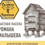 Роман Малышев