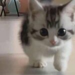 Максим Филиппов