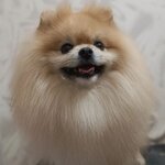Наталья Чинаева