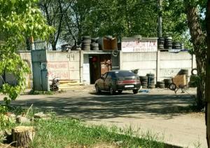 Фотография Сова 1