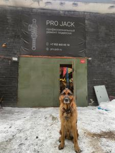 Фотография Pro Jack 1