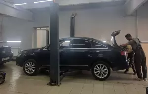 Фотография Тандем 1