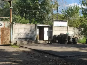 Фотография Сова 1