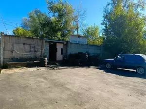 Фотография Сова 2