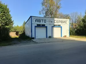 Фотография Саламандра 0