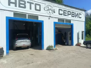 Фотография Саламандра 3