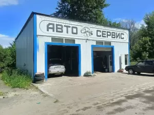 Фотография Саламандра 4