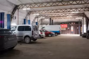 Фотография Citrus 4