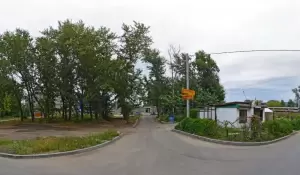 Фотография Сова 0