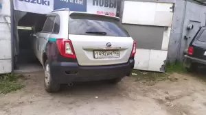 Фотография Чайка 0