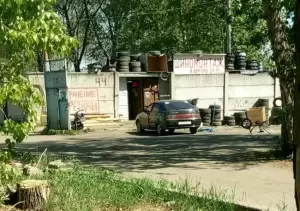 Фотография Сова 3