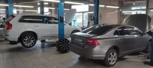 Фотография Лира 2