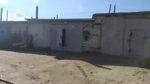 Фотография Чайка 2