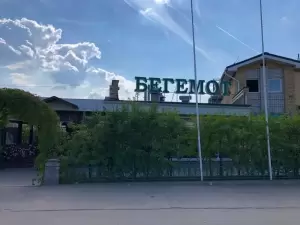 Фотография Автокомплекс Бегемот 4